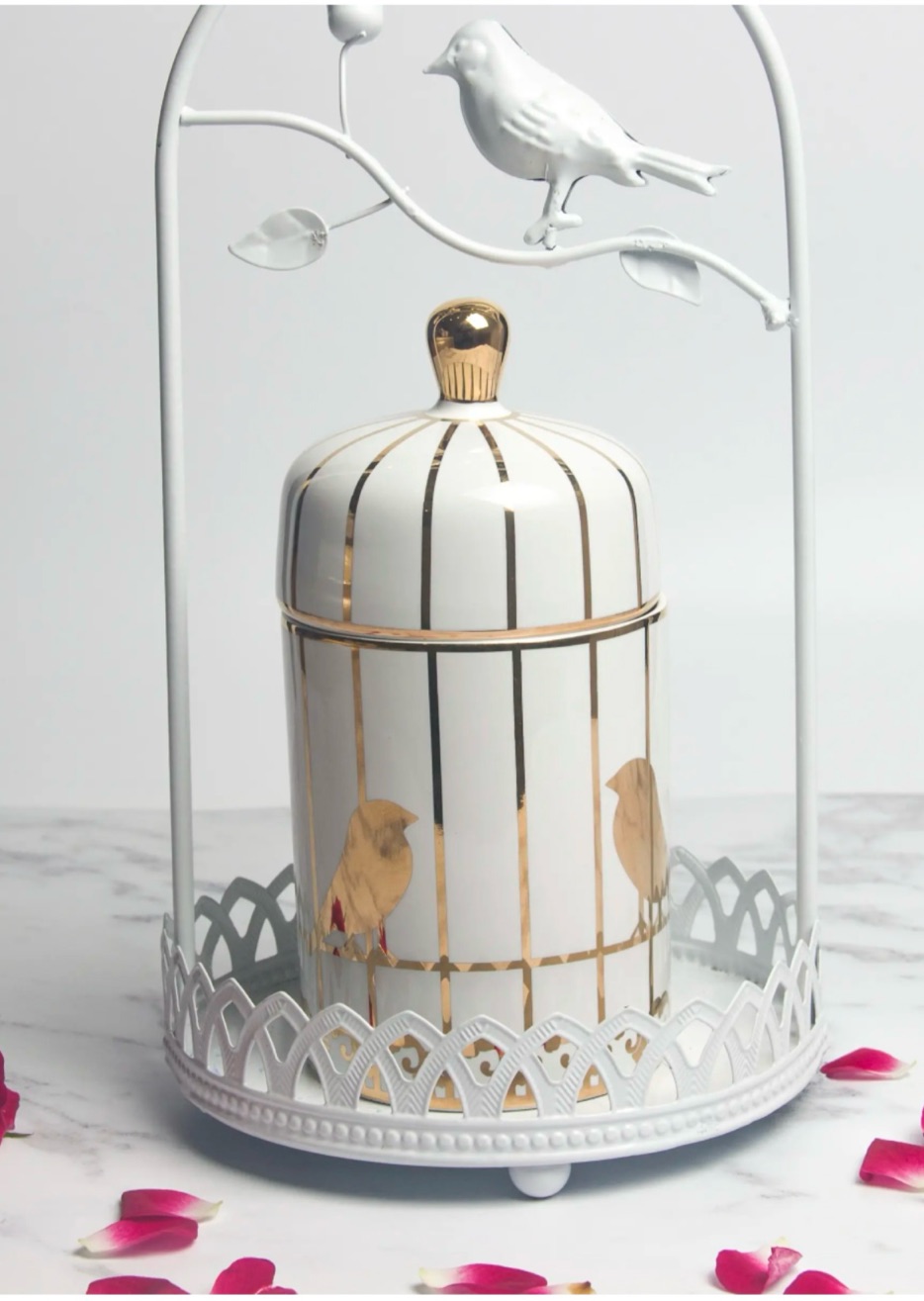 Decorative birdcage vessel